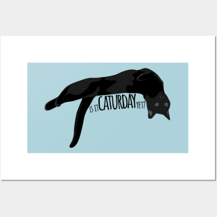 Is it Caturday Yet? Lounging Kitty Posters and Art